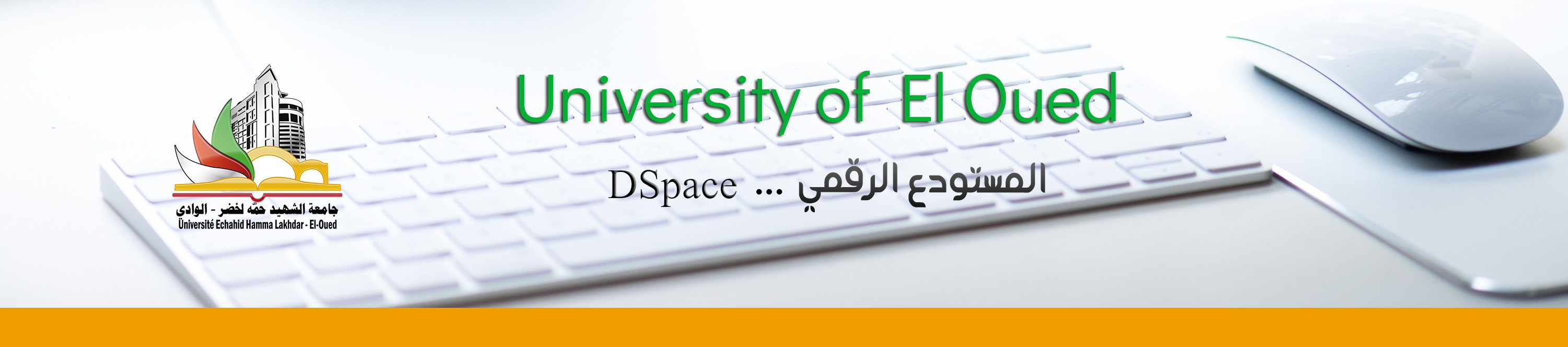 dspace12