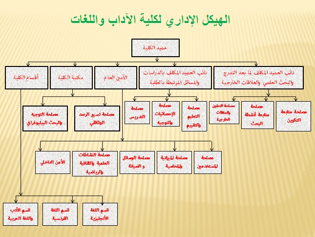 هيكل2