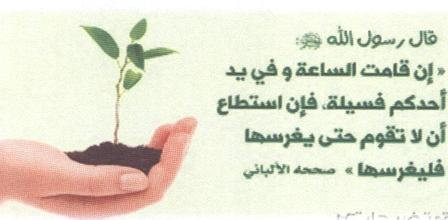 حملة تشجير2